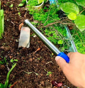 Stainless Steel Small Hoe Flower Planting Vegetable Growing Tools Farm Implements Household Children's Sweet Potato Digging Hoe Soil Loosening and Turning Hoe
