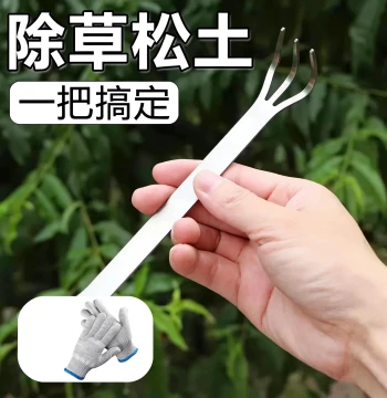 Stainless Steel Mini Rake Specialized for Bonsai, Pot Soil Loosening Tool, Flower Growing and Gardening Tool, Small Claw Rake, Three-Pronged Rake
