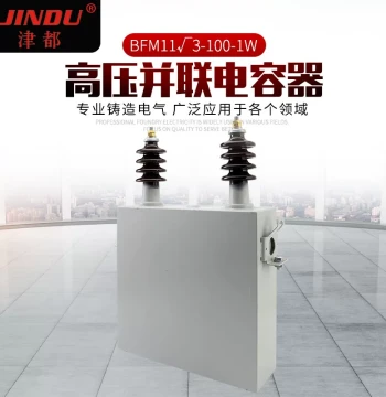 Manufacturer Supply: Complete Set of High-Voltage Outdoor BFM, FFM, BAM Series 10KV Parallel Power Capacitors in Stock