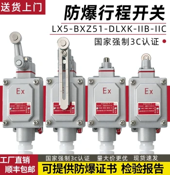 Explosion-Proof Travel Switch DLXK/LX5-Z/L/B/D/H/N, Mechanical Touch Micro Limit Switch
