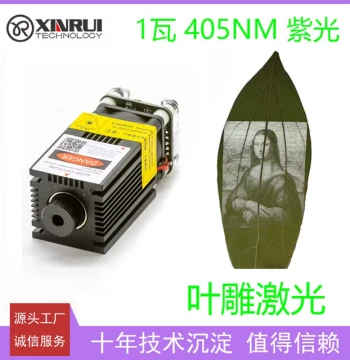 1W 405nm Leaf Carving Purple Laser Module Laser Engraver Accessories