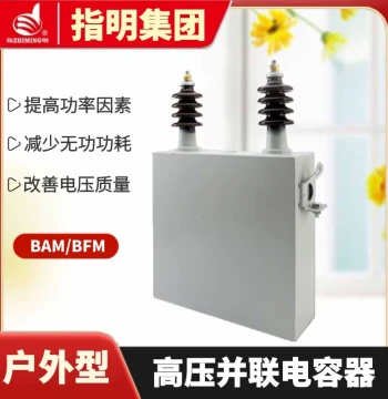 Zhiming Group Three-Phase High-Voltage Power Capacitor Series BFM12-100-3DW with Center Tap Output