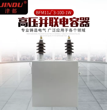 Manufacturer Supply Complete Cabinet High-Voltage Outdoor Shunt Power Capacitor In Stock BFM FFM BAM Series