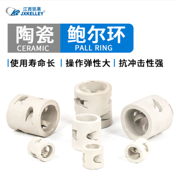 Ceramic Pall Ring Packing 25mm