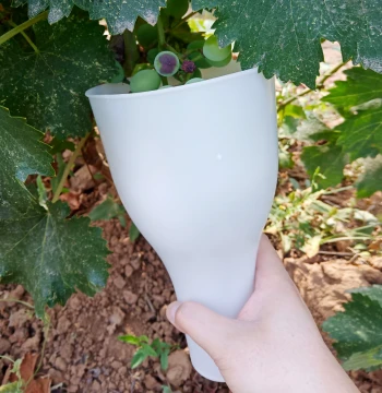 Grape Fruit Dipping Cup, Medicine Applicator for Cluster Thinning and Fruit Expansion, Dipping Cup for Growth Promoters, Red Globe and Shine Rose Grapes