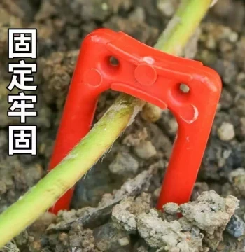 Watermelon Vine Presser Strawberry Seedling Press Fork Seedling Fork Vine Press Fork Greenhouse Fixator Vine Rooting Planting