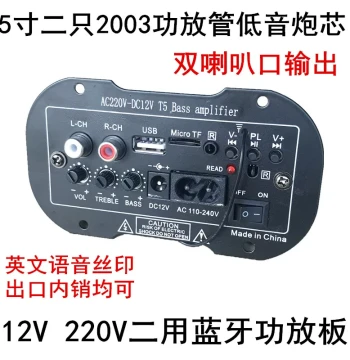 T5 Bluetooth Amplifier Board 5-Inch Card Slot FM Radio 12V Car Subwoofer Core 220V Home 2003 Amplifier Mainboard