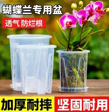 Orchid Pot Special Transparent Breathable Plastic Thickened Durable Resin Qingshan Pot Root Control Home Bonsai Pot