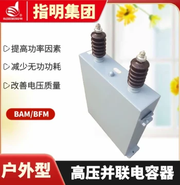 Zhiming Group Single-Phase High-Voltage Power Capacitor BFM11-100-1W High-Voltage Shunt Capacitor