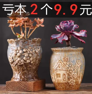 Succulent Flower Pot, Ceramic Coarse Pottery Breathable Creative Minimalist Large Retro Clay Jar for Small Old Stump Plants, Succulent Pot Clearance