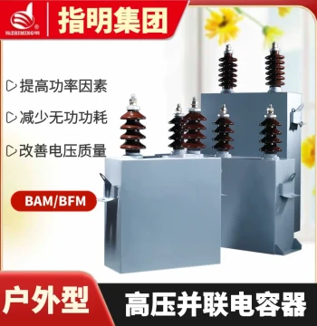 Zhiming Group Single-Phase High-Voltage Power Capacitor BFM6.3-100-1W High-Voltage Shunt Capacitor