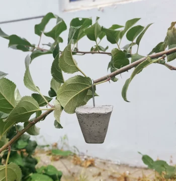 Apple Tree Branch Dropper Shaper Puller Bender Angle Opener Citrus Branch Presser Separator Spreader Angle Opener