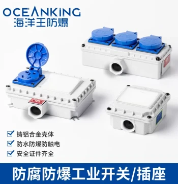 Waterproof Explosion-Proof Switch 220V Socket Industrial Type 86 Wall Lighting Base Box 10A Surface/Flush Mount Ocean King