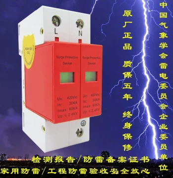 Class I Power Surge Protector 60KA Single-Phase Power Lightning Protection Module 220V Lightning Arrester Surge Protector 2P