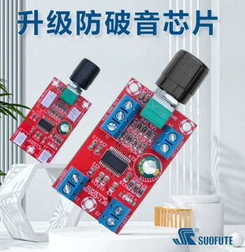 Dual-Channel Digital Amplifier Board 60W High Power 2.0 Pure Rear-Stage Mini Amplifier Module Audiophile Hi-Fi 12V