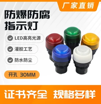 8030 Explosion-Proof Signal Indicator Light LED 30mm Mounting Hole Red Green Yellow Blue White Explosion-Proof Lamp 24V 220V 380V