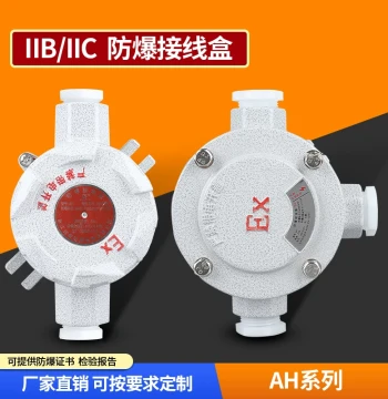 Explosion-Proof Junction Box IIB/IIC, Explosion-Proof Distribution Box, Explosion-Proof Conduit Box, 3/4 Distribution Box DN20, Explosion-Proof Pendant Light Box
