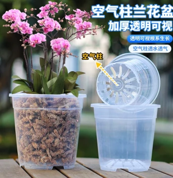 Phalaenopsis Orchid Special Pot High Transparency Qingshan Pot Oncidium Pot Transparent Bowl Root-Observation Pot Root-Control Pot Orchid Planter