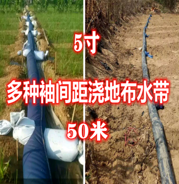 Custom 5 inch 50 Meter Lazy Irrigation Belt Sleeve Cloth Water Hose Ground Dragon Furrow Multi-Outlet Pipe Water Bag Custom Sprinkler Irrigation Free Shipping