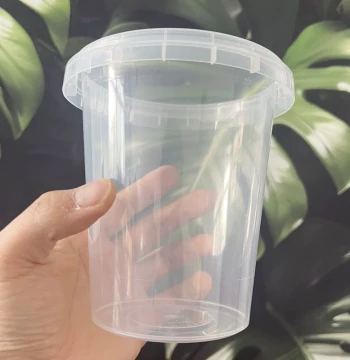 Phalaenopsis Orchid Special Pot Self-Watering Semi-Hydroponic with Substrate No Fertilizing Needed Free Watering