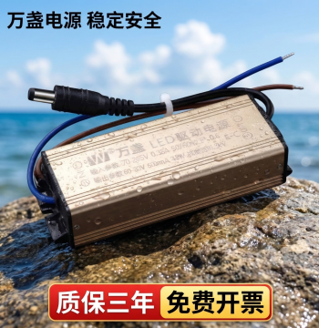 Wanzhan LED Driver Power Supply Integrated Ceiling Light LED Bath Heater Panel Waterproof Constant Current Ballast 12W 38W 48W