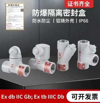 Explosion-Proof Isolation Sealing Box Y-Type Isolation Sealing Wire Entry Box Sealing Box Junction Box Wire Passing Box Explosion-Proof Sealing