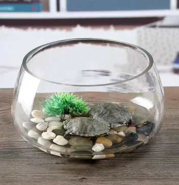 Round Glass Fish Tank for Office Desk and Living Room, Hydroponic Home Mini Aquarium, Transparent Small Creative Landscape Turtle Tank