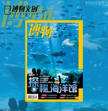 Chinese National Geography May 2026 Issue: Exploring Ocean Aquariums; April Issue: Flying Squirrels – Single Issue Natural Science Popularization Magazine