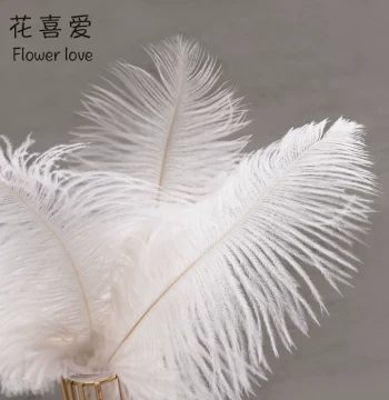 Hua Xi Ai Mother's Day Bouquet Decoration Accessories White Ostrich Feathers Viral Bouquet Packaging Material Flower Wrapping Feathers