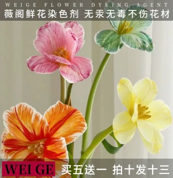 Weige Flower Dye Specialist for Florists, Eco-friendly Mercury-Free Non-Damaging to Flower Life, Fresh Flower Color-Absorbing Dye