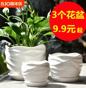 Clearance Sale: Ceramic Flower Pots for Home Use, Large and Extra-Large Sizes for Succulents, Pothos, and Phalaenopsis Orchids, Sold at a Loss with Tray Included
