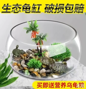 Creative Desktop Glass Fish Tank, Small Round Hydroponic Bowl for Living Room, Thickened Mini Goldfish or Turtle Tank, Large Sphere