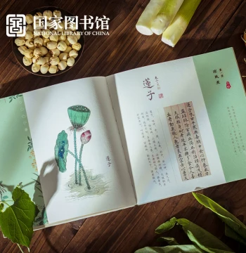 National Library of China Food Materia Medica Journal: 24 Solar Terms Cultural Creative Gift for Men and Women's Birthdays