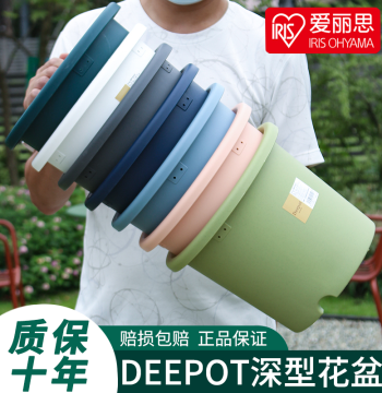 IRIS Deepot Home Resin Gallon Pots for Roses, Hydrangeas, and Succulents - Durable Plastic Planters