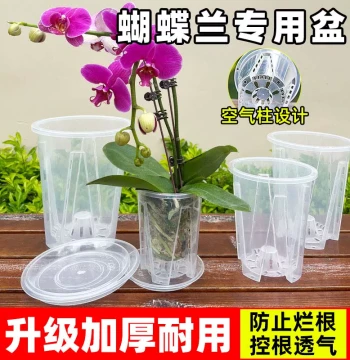 Phalaenopsis Orchid Special Transparent Root-Control Pot Orchid Flower Dendrobium Sphagnum Large Home Plastic Breathable Hollow Flower Pot