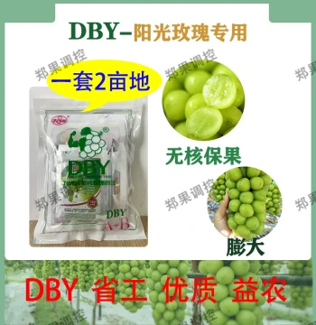 Zhengguo Institute DBY Shine Muscat Fruit Retention and Enlargement Special Treatment Agent