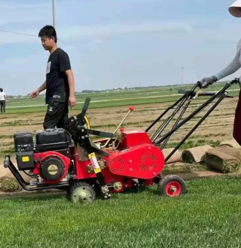 Hot Sale: Automatic Grass Cutter with Auto-Shutoff, Gasoline-Powered Agricultural Machine for Forestry and Farming, Labor-Saving Lawn Mower
