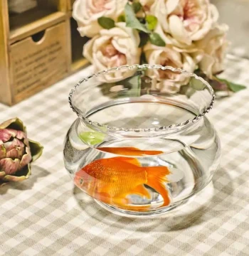 Mini Desktop Lace-Edged Fish Tank for Office - Ultra-Clear Glass Round Landscape Aquarium for Goldfish and Hydroponic Pothos, Special Offer