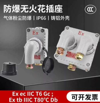 Explosion-Proof Spark-Free Plug and Socket Fireproof Dustproof 220/380V Connection Device Industrial Three/Four-Core Hole Power Strip Plug