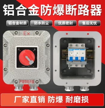 Explosion-Proof Circuit Breaker Distribution Box Explosion-Proof Air Switch 10A 25A 32A 63A Control Box Leakage Protection Air Switch