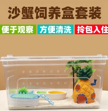 Chinese Sand Crab Terrarium Kit - Aquarium Tank for Fiddler Crabs & Hermit Crabs, Beginner Pet Habitat Supplies