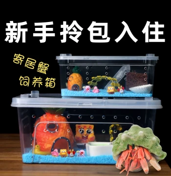 [Hermit Crab Care Kit Set] Beginner Care, Dwarf Hermit Crab Box, Kids' Gift Desktop Pet