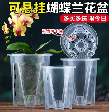 Transparent Qingshan Root-Control Pot Specialized for Orchids and Sphagnum Moss, Phalaenopsis Plastic Breathable Hollow Large Flower Pot for Home Use