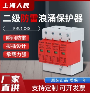 Shanghai Renmin Class II 40KA 4P Lightning Surge Protector Three-Phase Single-Phase 2P Power Lightning Arrester
