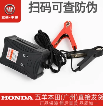 Wuyang Honda Motorcycle Battery Charger, 12V Storage Battery Charger, Universal Battery Charger for Motorcycles