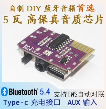 5W Bluetooth Amplifier Board Mono Channel DIY Speaker Magic Device Supports TWS Pairing Type-C Charging