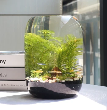 Eco Bottle Micro Landscape No Water Change DIY Science Project Materials Glass Office Desktop Small Fish Tank Eco Aquarium