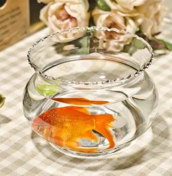 Glass Small Fish Tank for Living Room, Mini Transparent Scalloped Goldfish Bowl, Home Turtle Mini Hydroponic Pothos Fish Tank