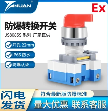JS8085S Explosion-Proof Dust-Proof Corrosion-Resistant Universal Conversion Switch Two-Position Three-Position Silver Contact Open/Close Two-Hole 22mm