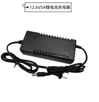 12.6V 5A Lithium Battery Charger DC Plug Smart Protection Charger Dedicated for Polymer Lithium Batteries